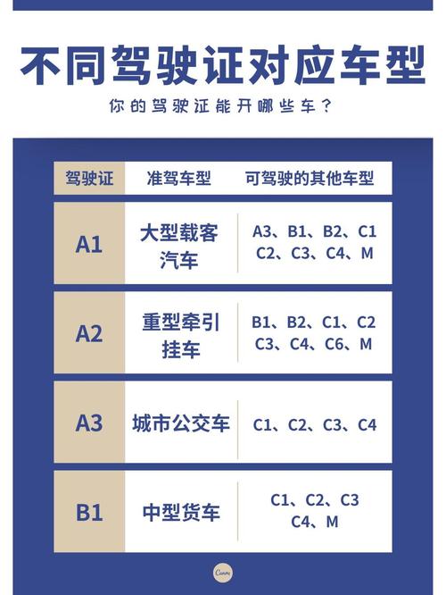 所有车型(所有车型都可以开的驾照)