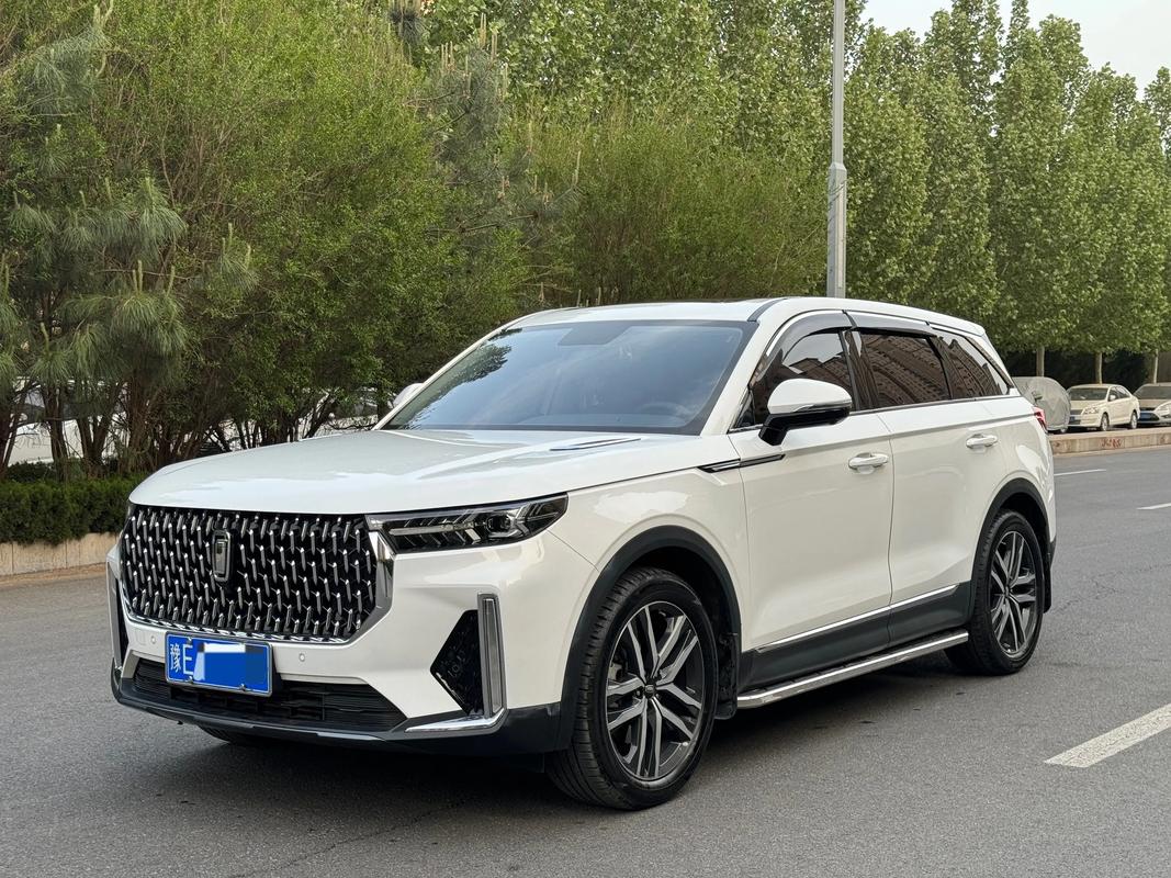 【奔腾t99出现很多故障,奔腾t99问题反馈】