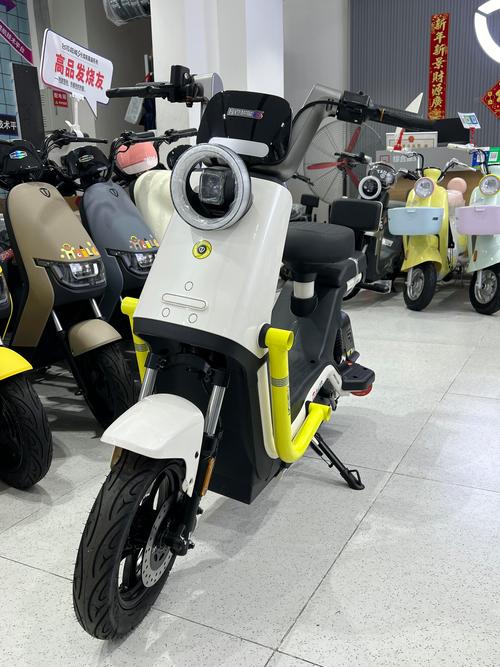 中国最好的电动车排名(中国最好的电动车品牌)